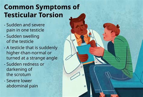 torsion test wikipedia|testicular torsion signs and symptoms.